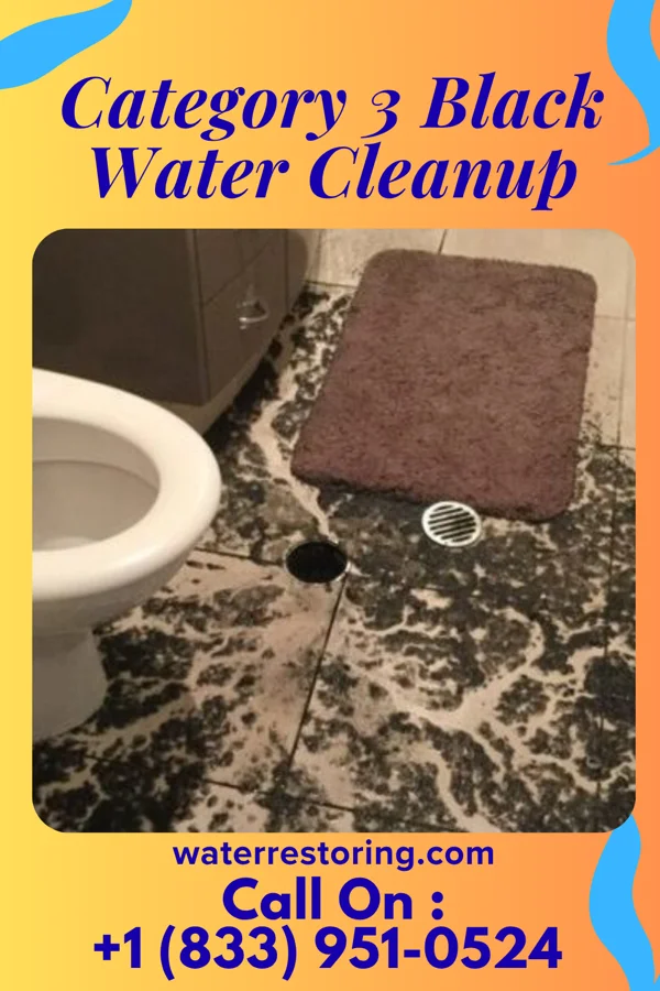 Category 3 Black Water Cleanup in Fannett, TX