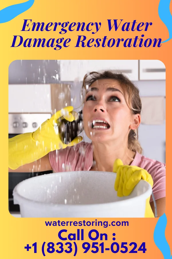 Emergency Water Damage Restoration in Fannett, TX