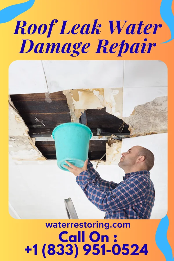 Roof Leak Water Damage Repair in Fannett, TX